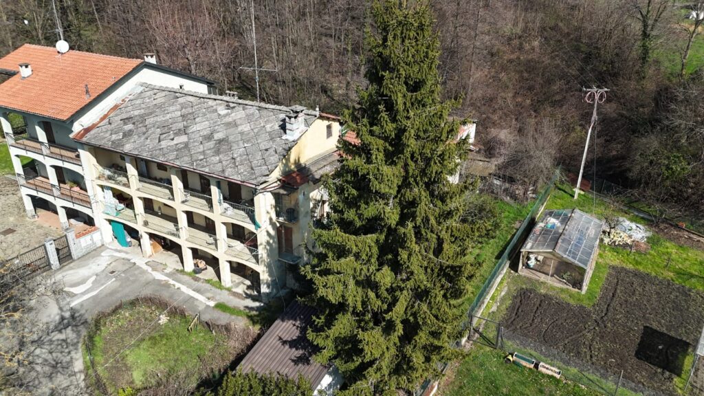 Immobiliare Giavenense 1